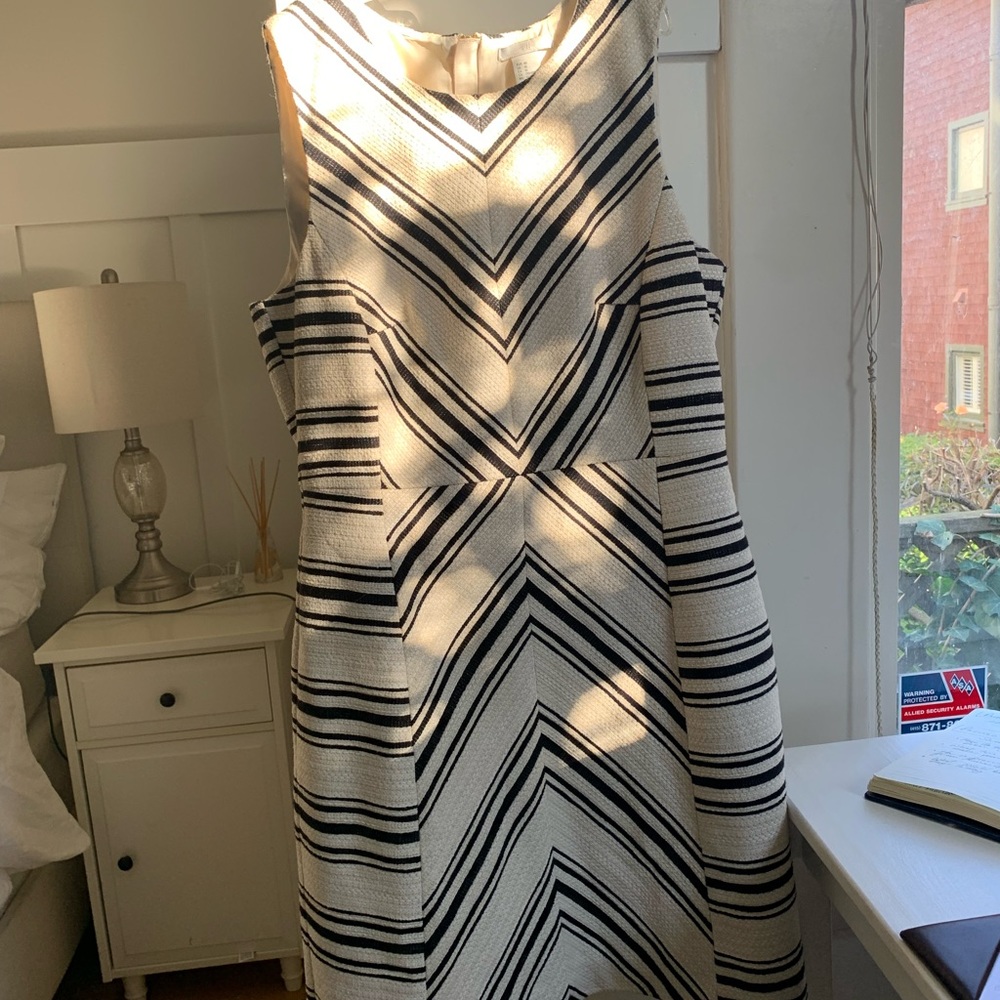 Any Occassion Short Dress